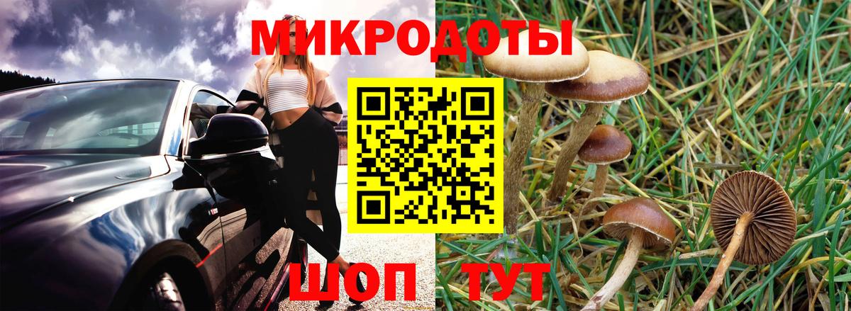 Ликино-Дулёво  Псилоцибиновые грибы Cubensis  Вход с VPN 