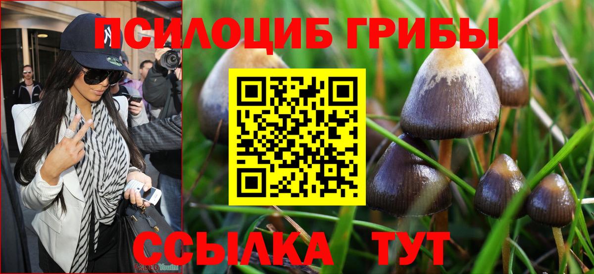 Галлюциногенные грибы прущие грибы Ликино-Дулёво